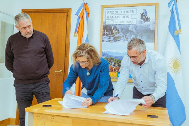 Fortalecimiento de la producción ganadera 