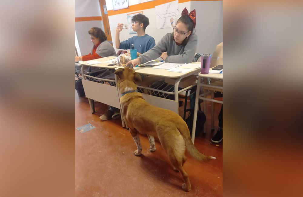 Así de importante es