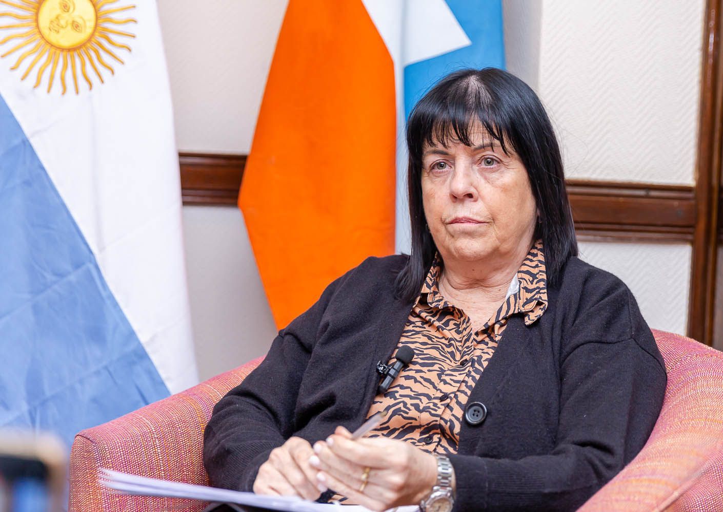 Martínez Allende fundamentó el repudio de la UCR 