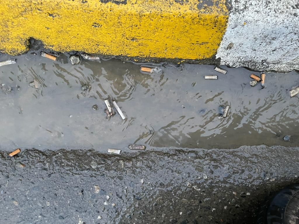 Lo que el agua se lleva