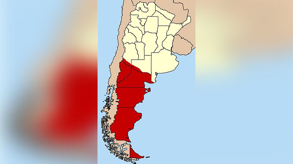 Establecen por ley el límite norte de Patagonia en el río Negro