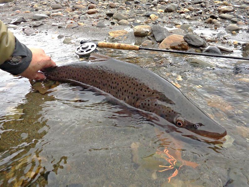 Inició la temporada de pesca deportiva 