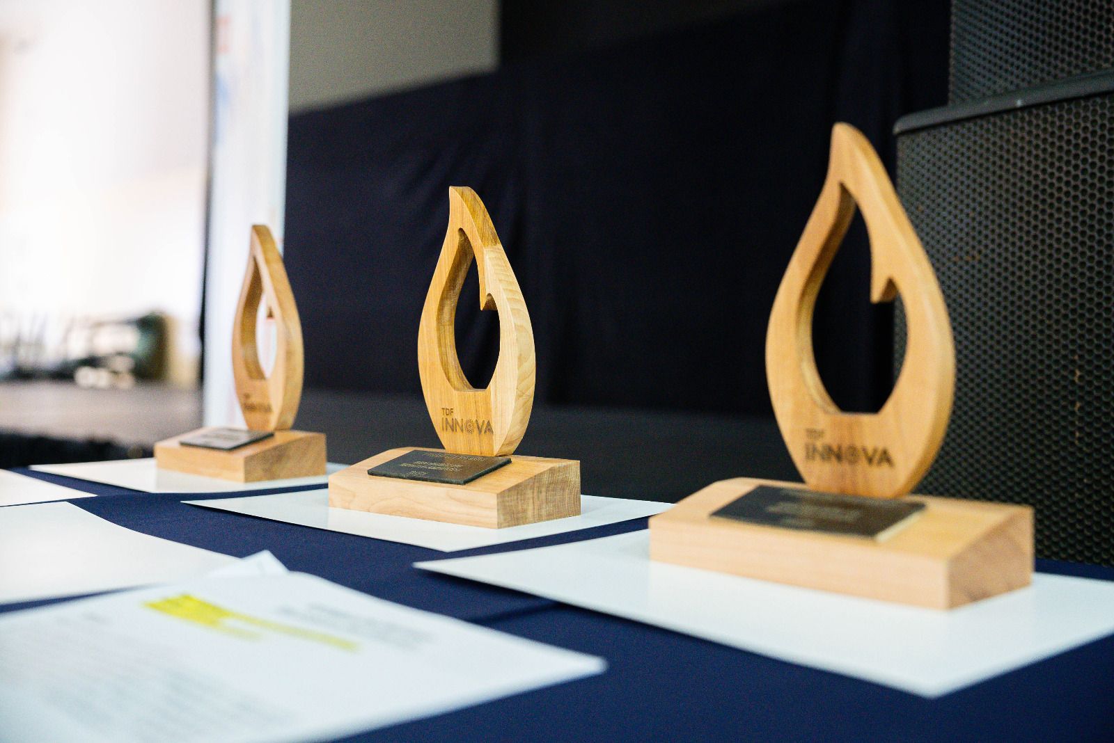 Se entregaron los premios de la 3ª  edición de TDF innova 