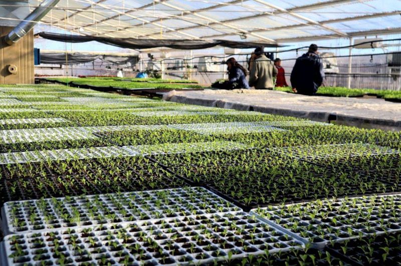 Río Grande se prepara para la Expo Agro Productiva