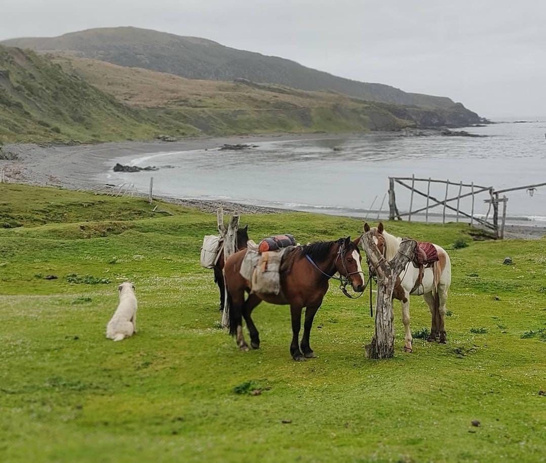 Revelan complejidad en el cruce marítimo Ushuaia-Puerto Williams 