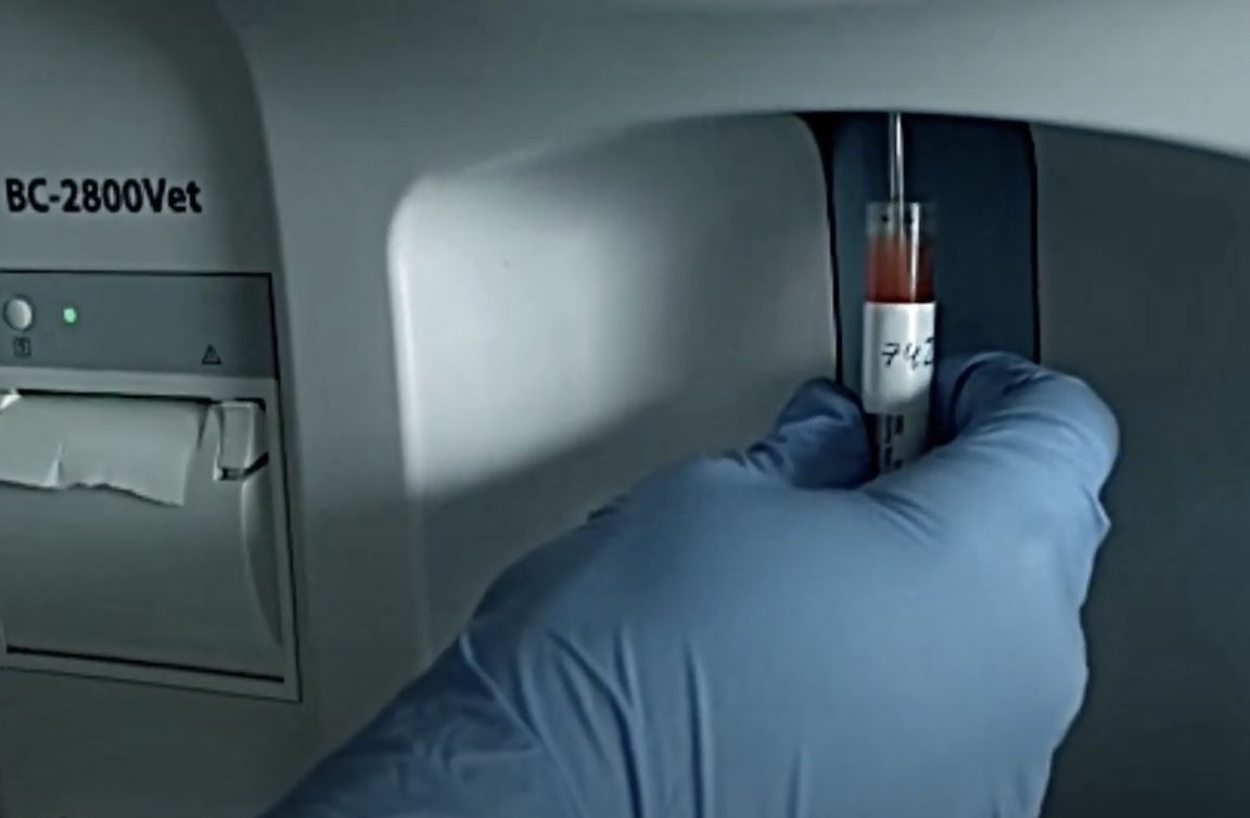 Actualizaron el protocolo para el uso de recursos genéticos