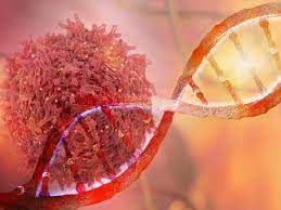 Cuánto incide la herencia genética en el desarrollo de cáncer