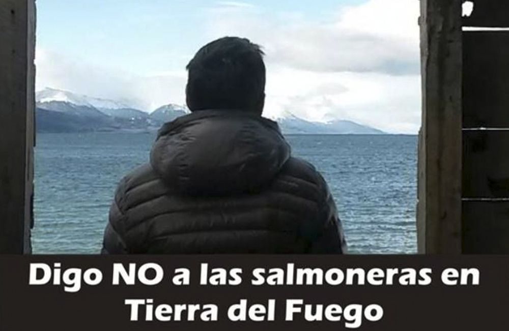 Cuestionan a una organización ambiental por buscar sólo protagonismo