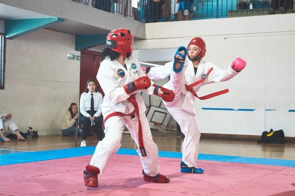 Se realizó el Open Taekwon-do Ushuaia 2023