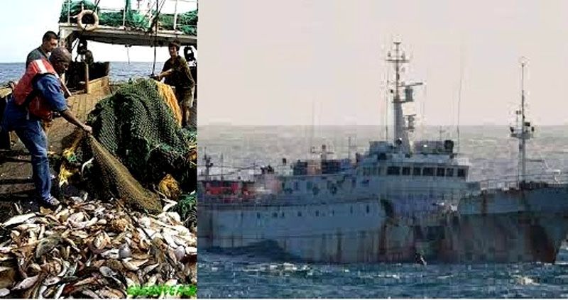 Multan a empresas españolas por pesca ilegal en Antártida