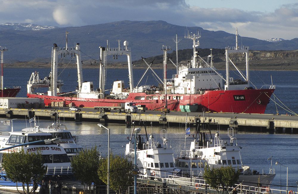 Nación modificará los artículos sobre la actividad pesquera