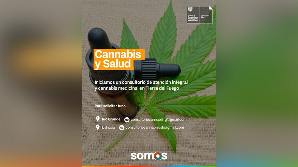 Ya funciona el consultorio cannábico con fines medicinales
