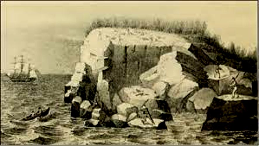 Gobierno patrio autoriza a navío inglés a cazar en Malvinas