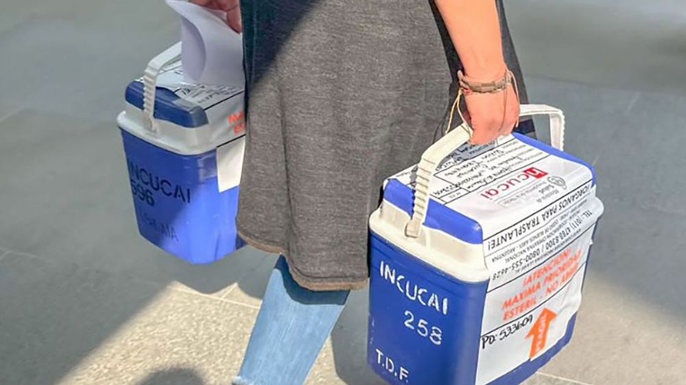 Se realizó con éxito el primer operativo de ablación del año