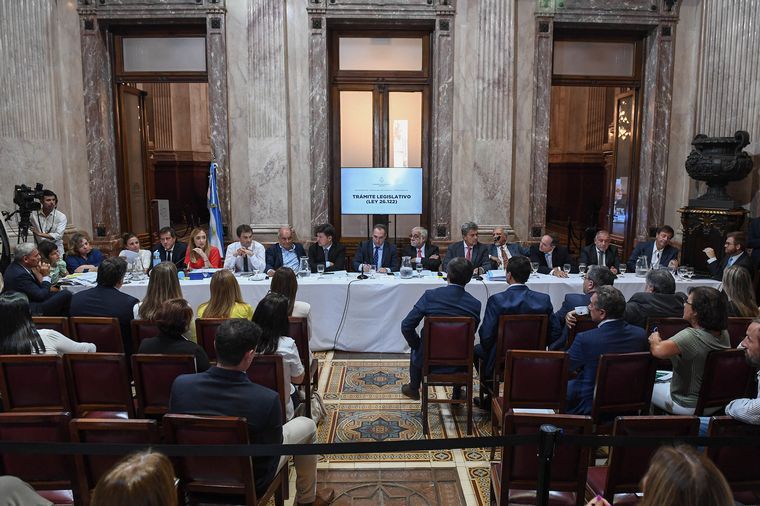 La Bicameral de Trámite Legislativo designó a sus autoridades para tratar el DNU