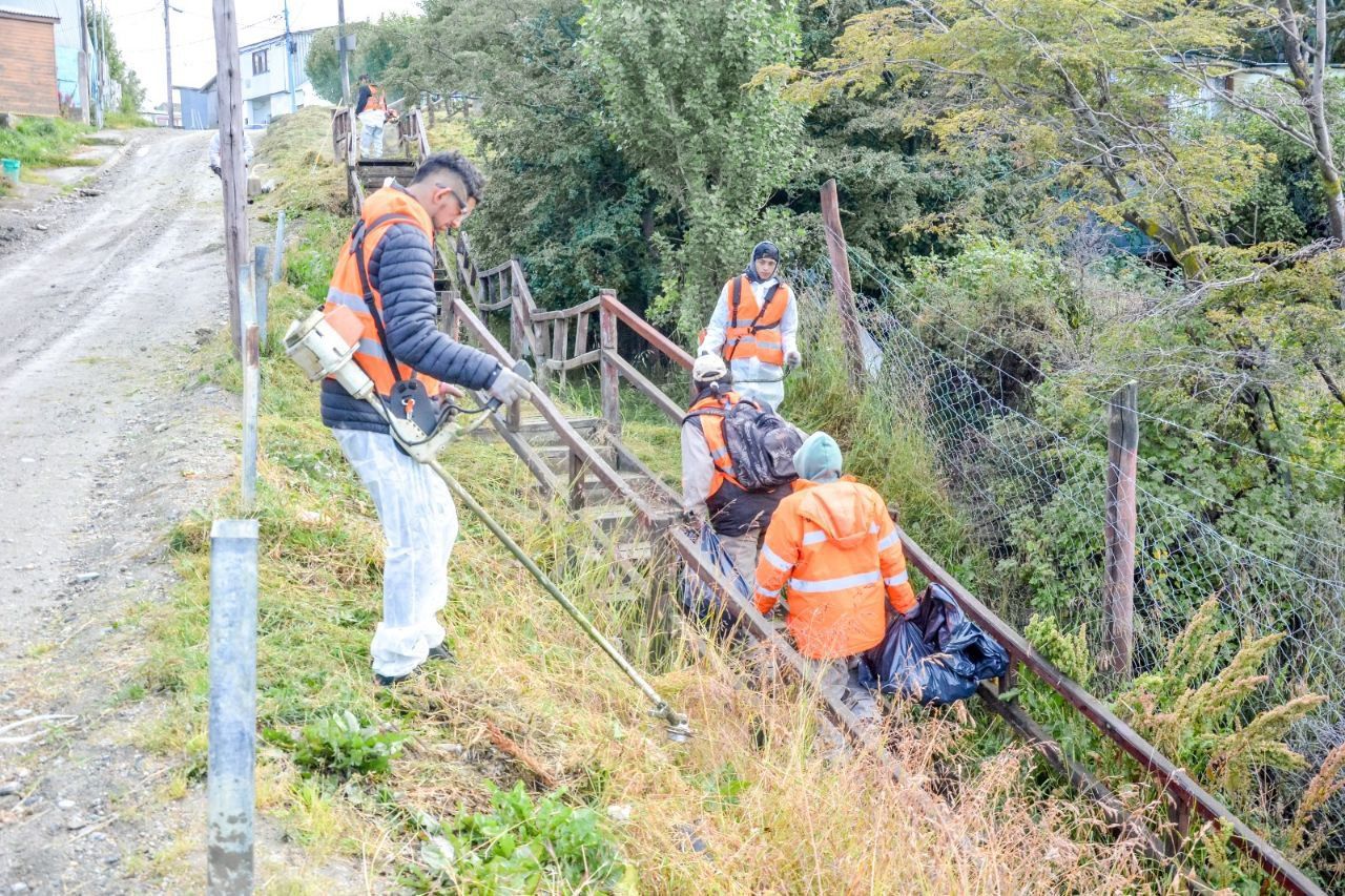 Medio Ambiente municipal realiza trabajos de limpieza en los barrios
