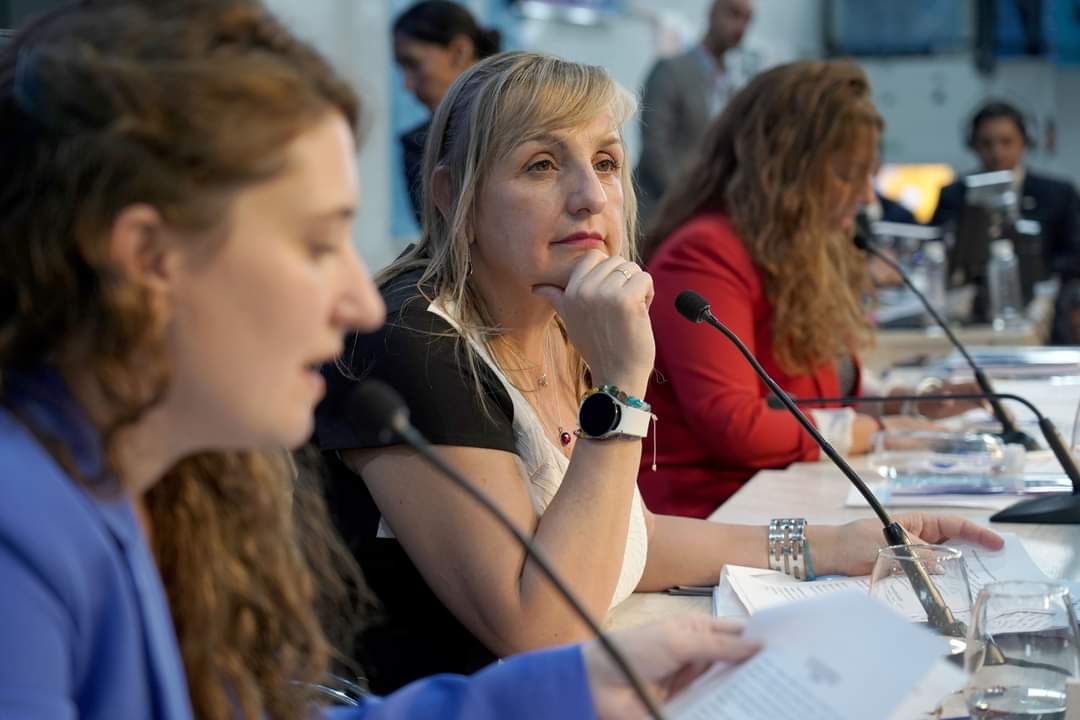 El Concejo de Ushuaia iniciará el 41º período de sesiones ordinarias