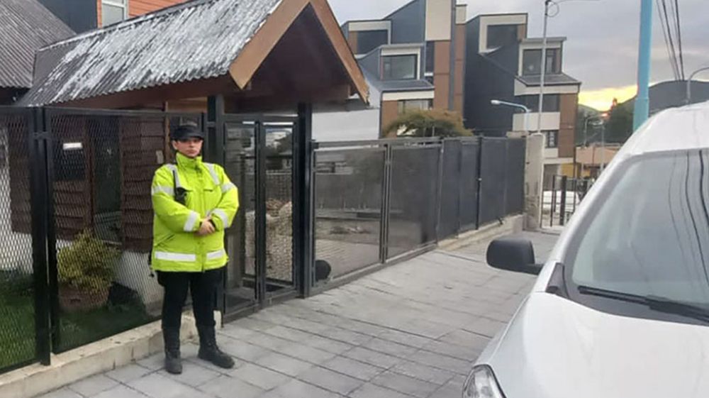 Tras varios allanamientos logran recuperar más de U$D 250.000