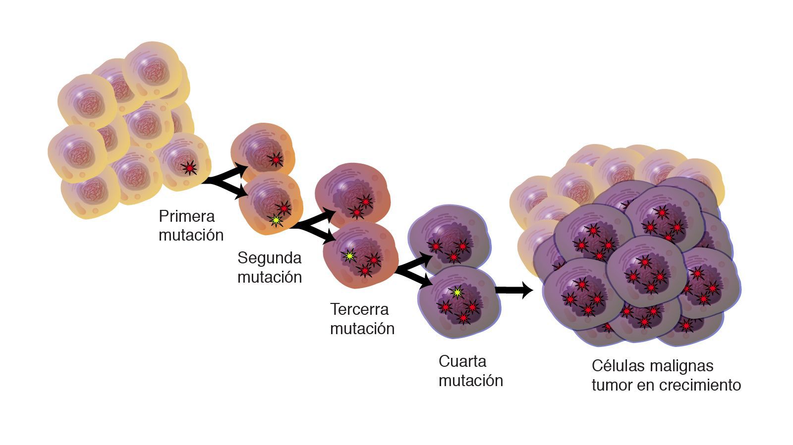El cáncer sigue siendo una de las principales causas de mortalidad en América