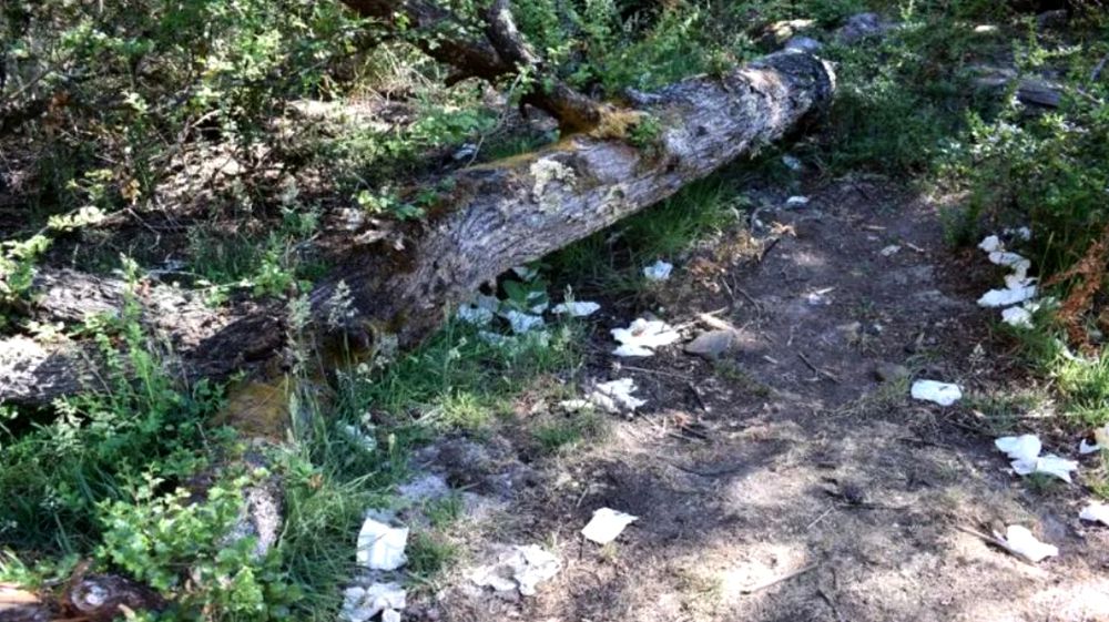 El papel higiénico es basura