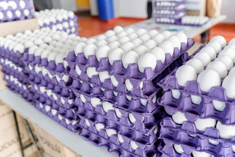 Precios más accesibles  Nueva edición de “Tu Mercado TDF”