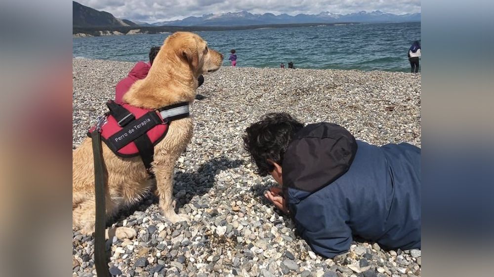 Comienza un nuevo ciclo de terapia asistida con perros para tratar autismo