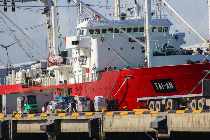Buque fueguino involucrado en pesca ilegal de merluza negra