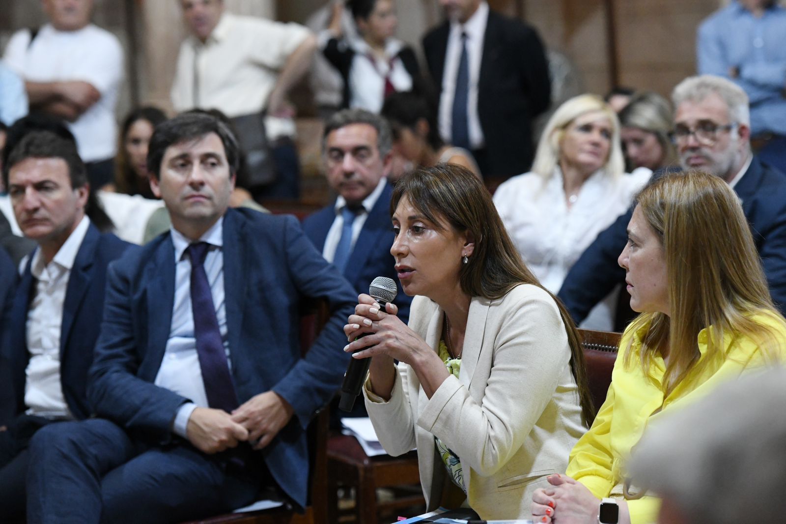 López pidió a los diputados que voten por convicción