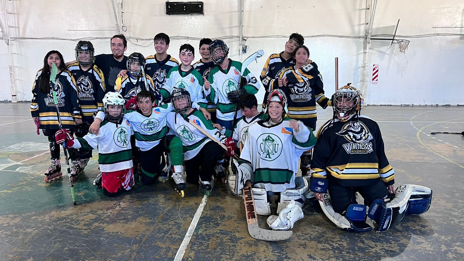 Hay futuro en el hockey (sobre hielo y sobre patines)