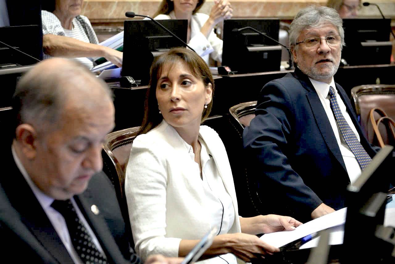 La senadora López pide citar a Petri para que brinde explicaciones