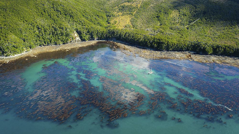 Piden que se haga efectiva la conservación de Península Mitre