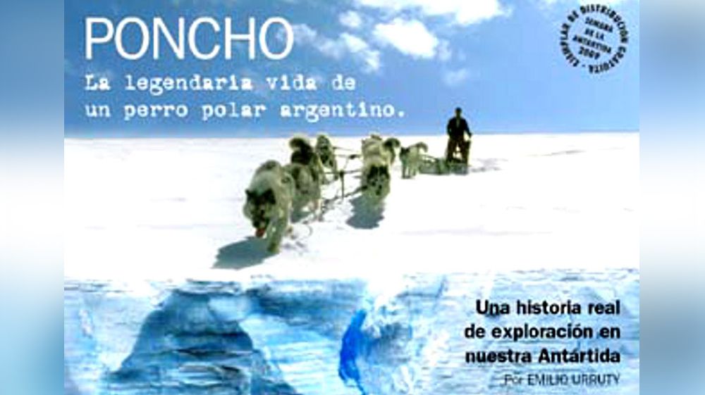 Nace Poncho, un siberiano que hizo historia en la Antártida