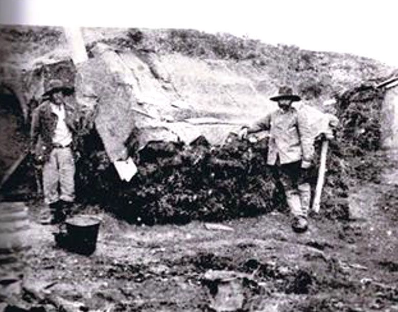 Región Magallánica duplica su población por la fiebre del oro