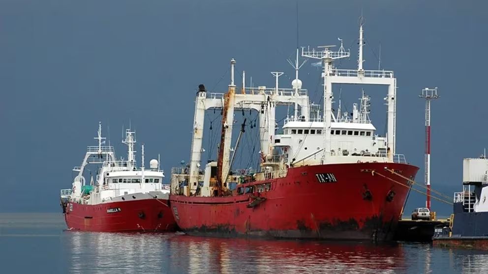 Un grito colectivo contra la pesca ilegal del Tai An