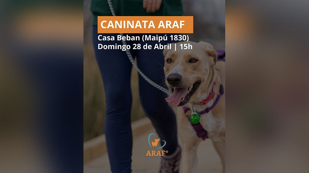 ARAF invita a una nueva ‘Caninata’ por el Día del Animal