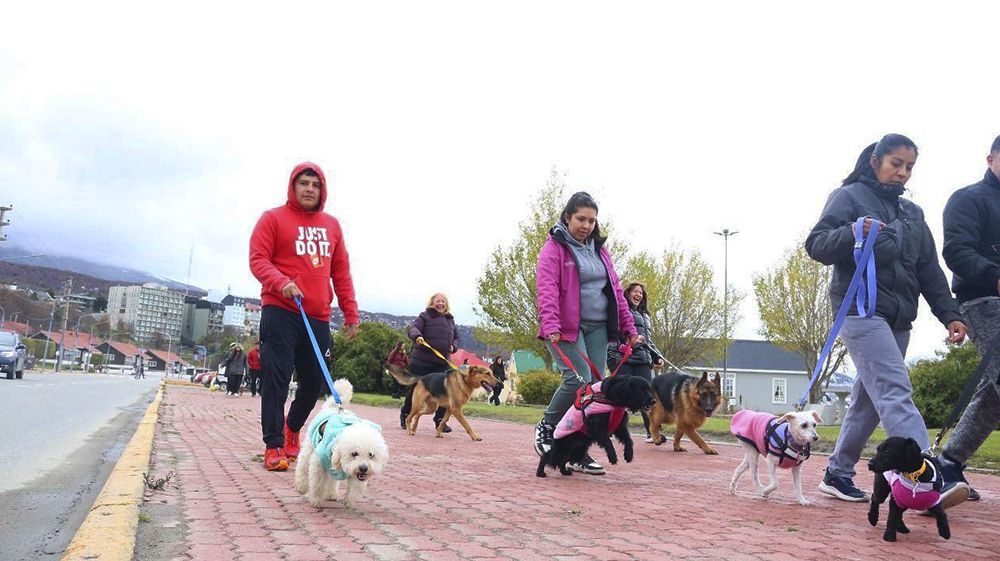 La Municipalidad acompañó la ‘Caninata’ organizada por ARAF