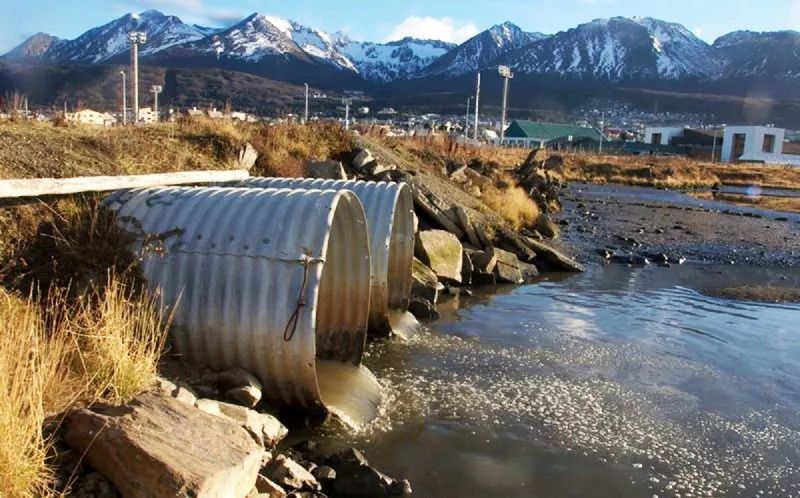 Experta consideró esencial que la comunidad se involucre