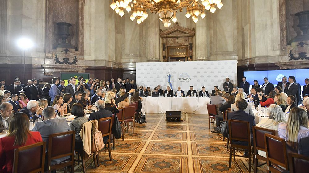 El Senado inició el tratamiento de la Ley Bases y el Paquete Fiscal 