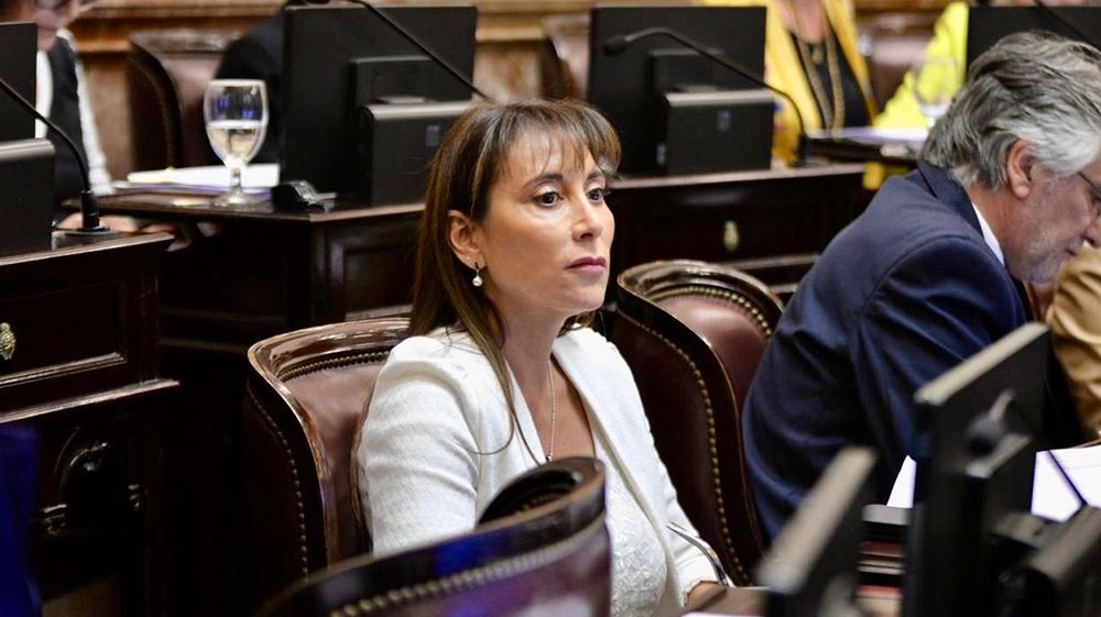 “Tierra del Fuego se ve muy perjudicada”