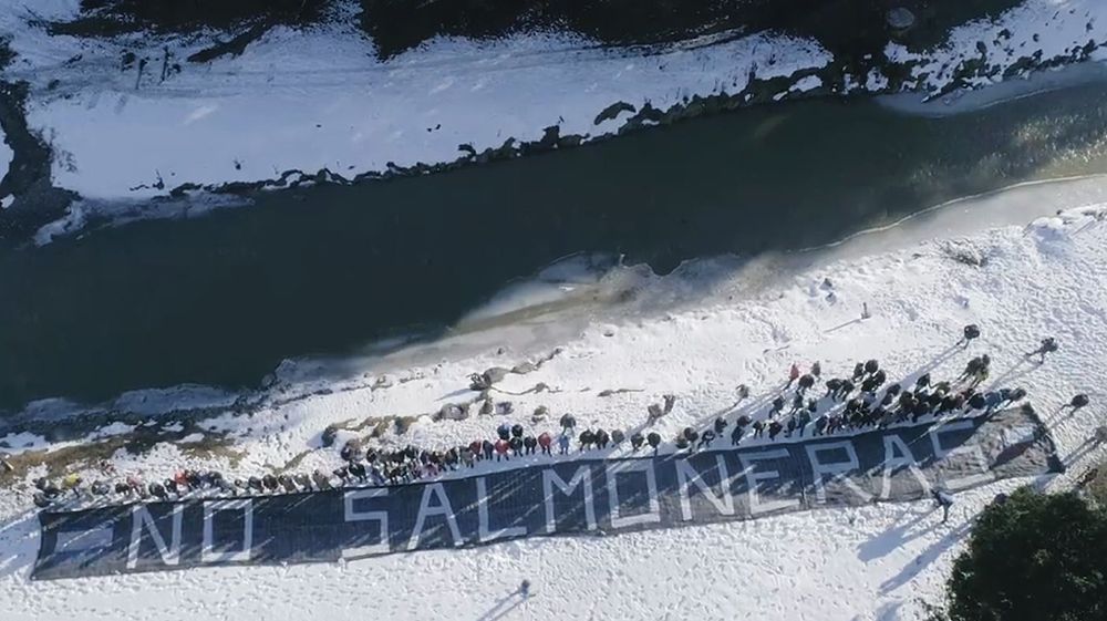 Preocupación ambiental por la Ley Bases 