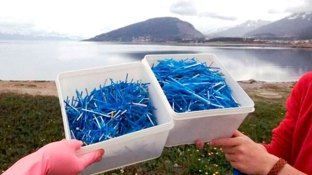 El impacto del cambio climático, desechos y microplásticos en el Beagle 