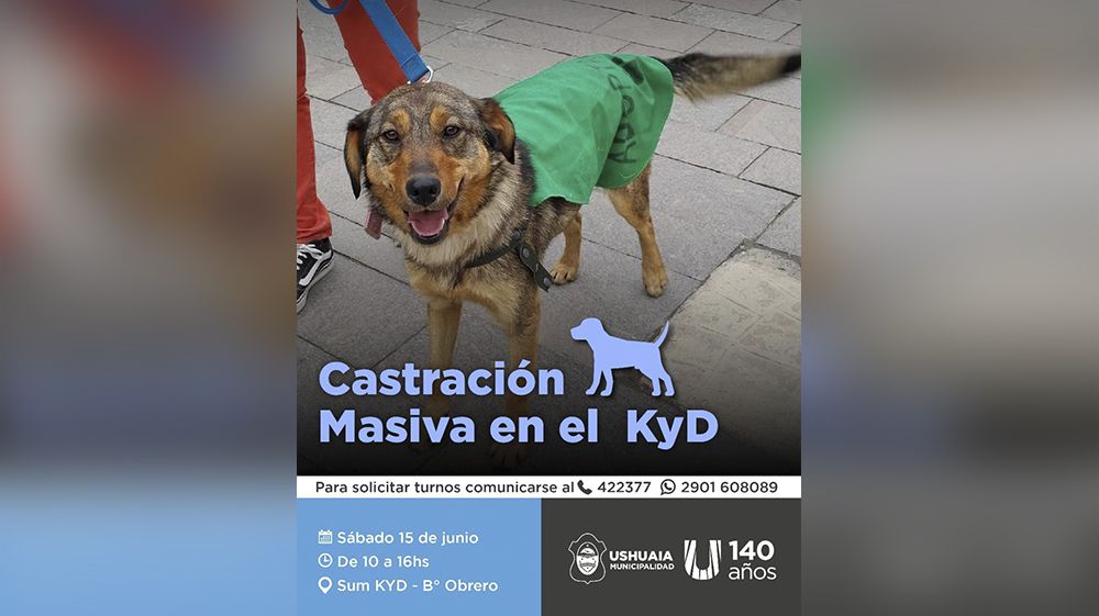 Zoonosis realizará una nueva jornada de castración masiva