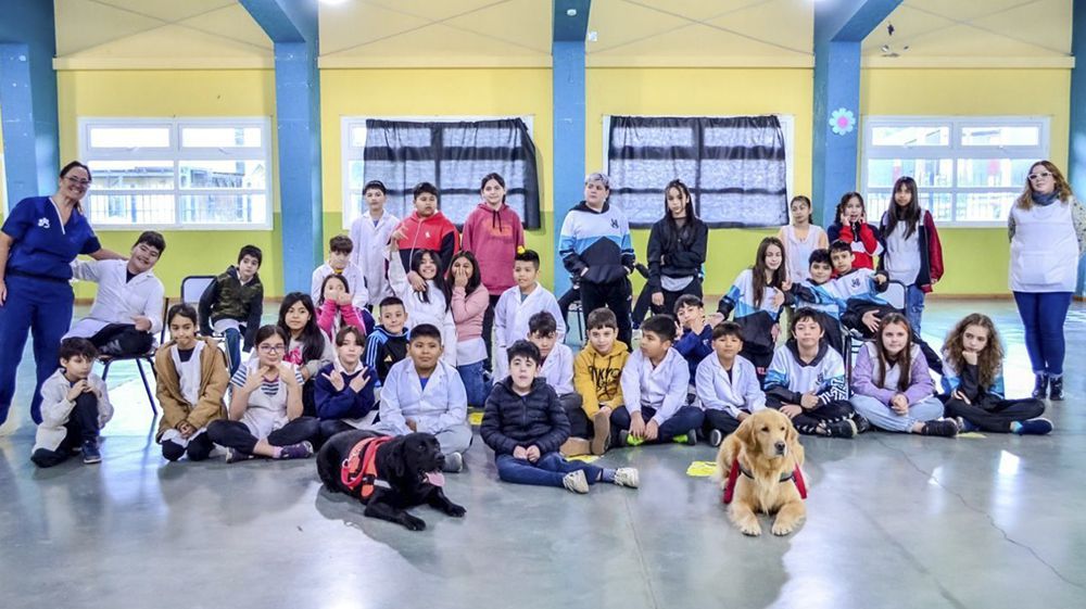 El dispositivo TAP trabaja con alumnos de la Escuela Nº 41