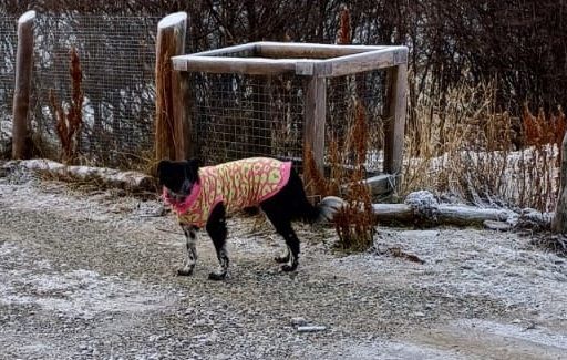 El frío no discrimina