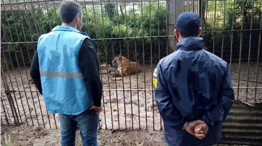 Inspectores que cazan en el zoológico