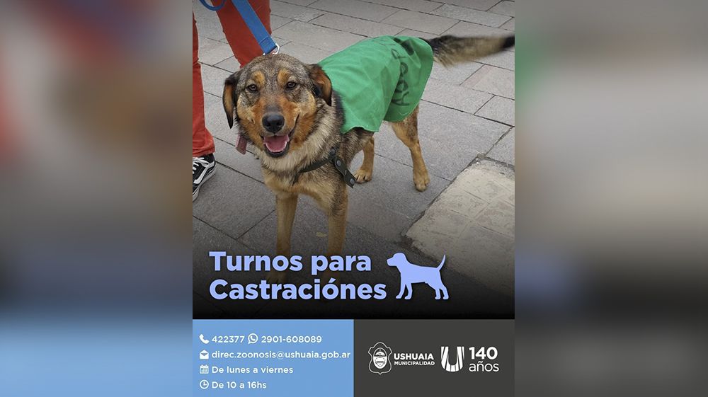 Disponibilidad de turnos para castración de perros
