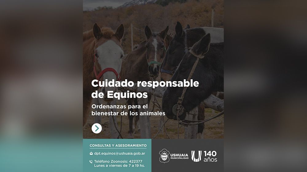 Zoonosis reitera la vigencia de ordenanzas de cuidado de equinos