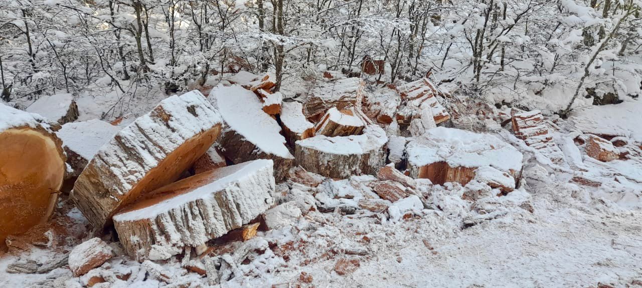 Infracción a la Ley de Areas Naturales Protegidas