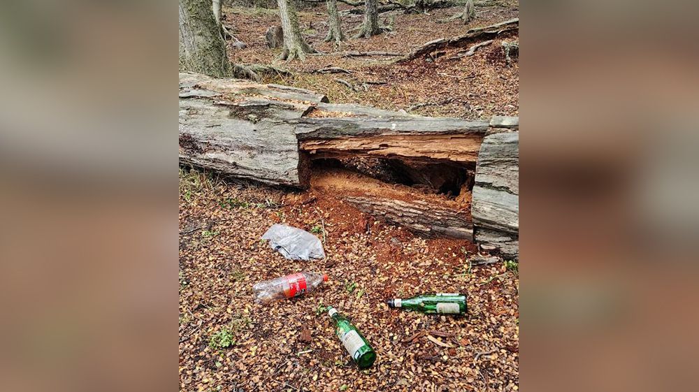 Parece que nos sobran los inadaptados