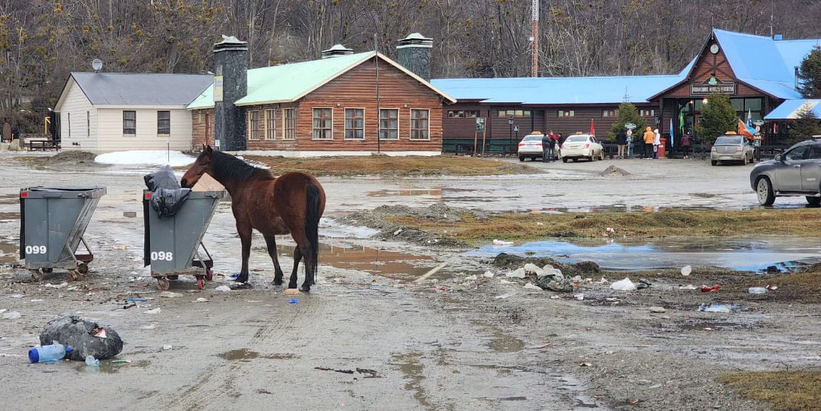 Último tren al basural (Last train to the garbage dump)